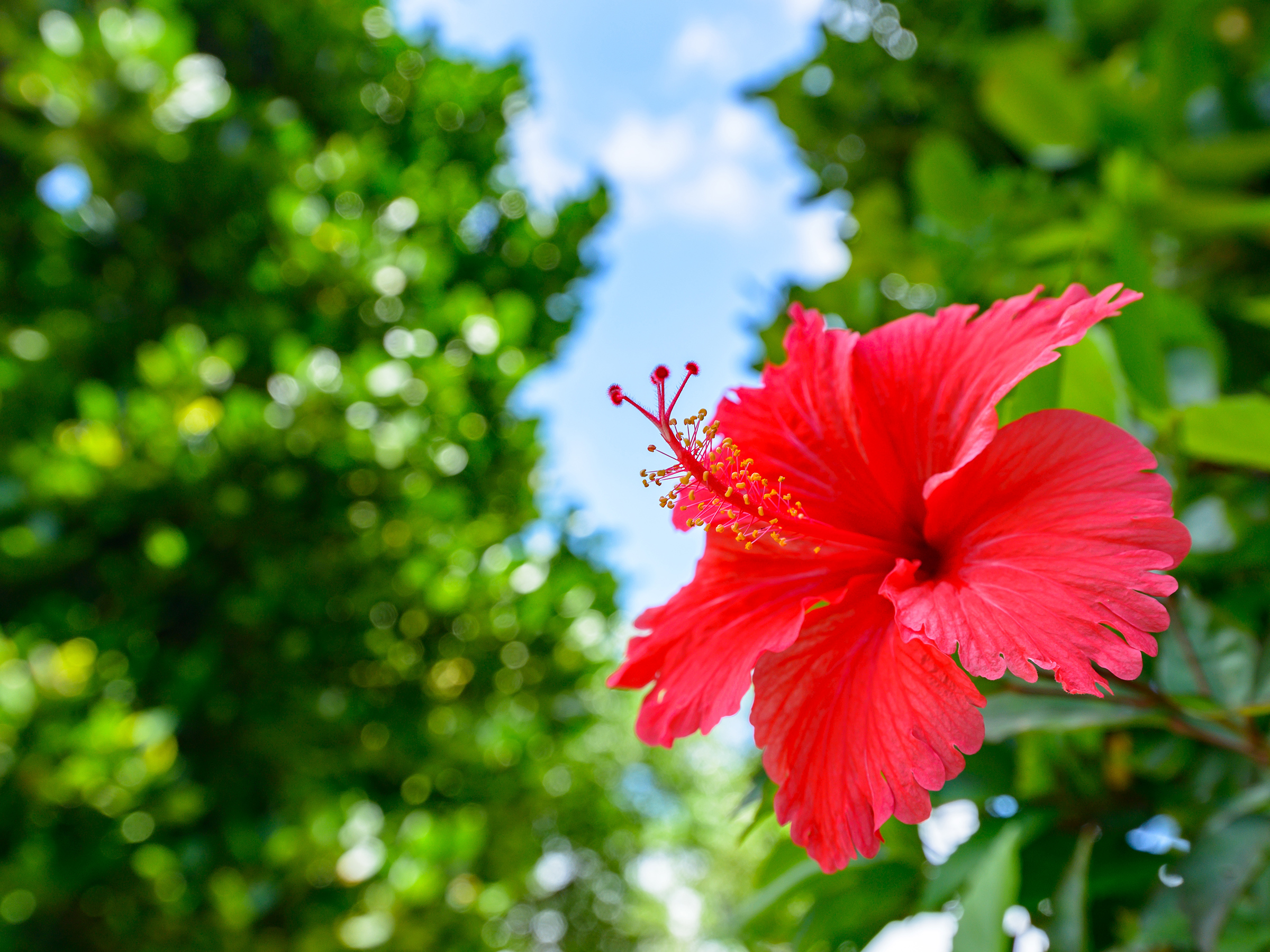 現場での作業風景4